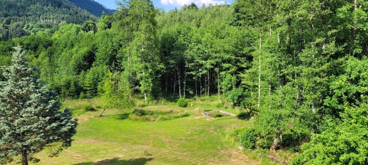 Gite Forestier Du Moulin Raon-sur-Plaine Luaran gambar