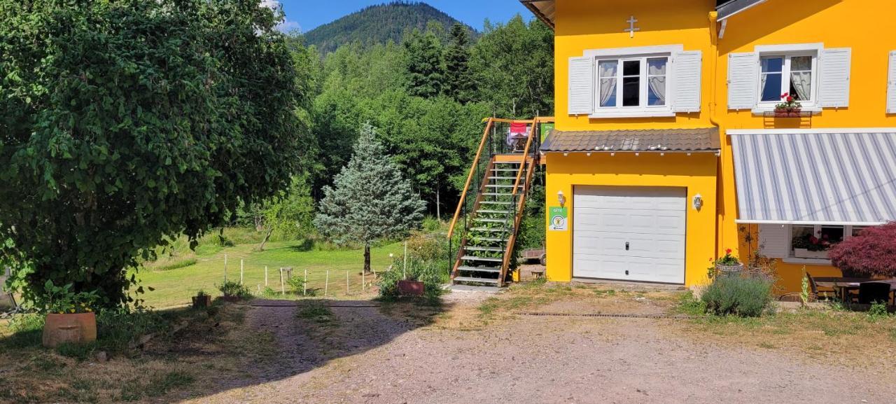 Gite Forestier Du Moulin Raon-sur-Plaine Luaran gambar