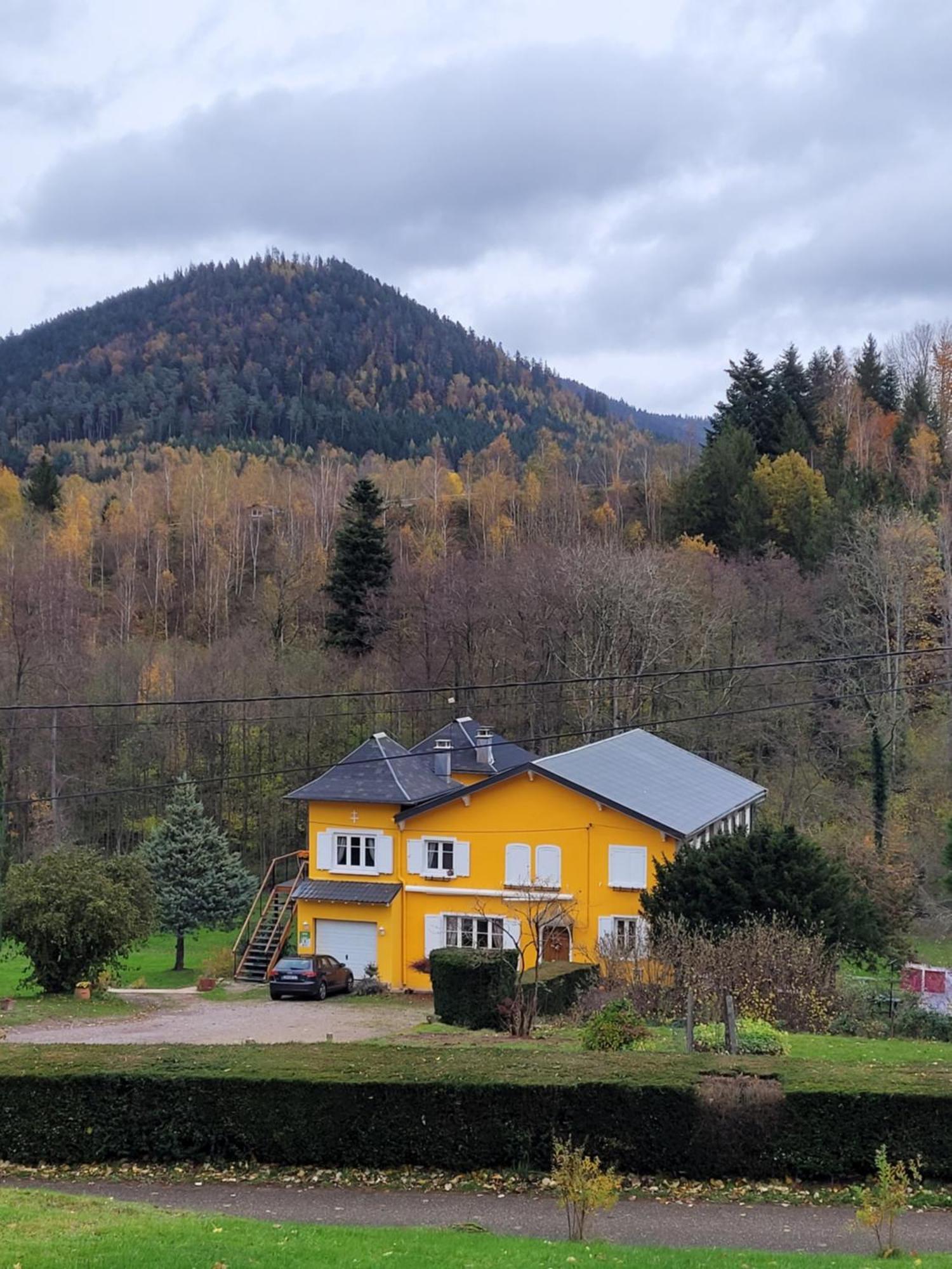 Gite Forestier Du Moulin Raon-sur-Plaine Luaran gambar