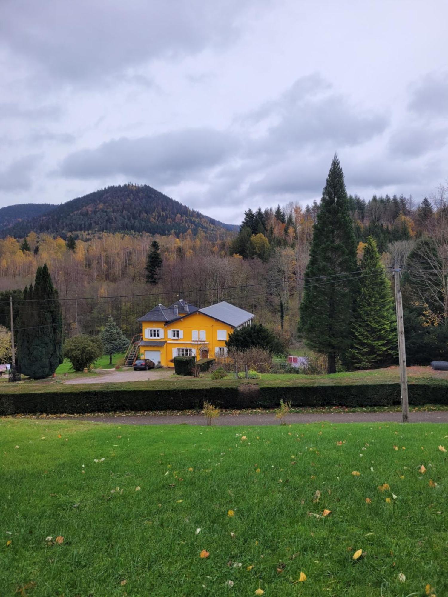 Gite Forestier Du Moulin Raon-sur-Plaine Luaran gambar