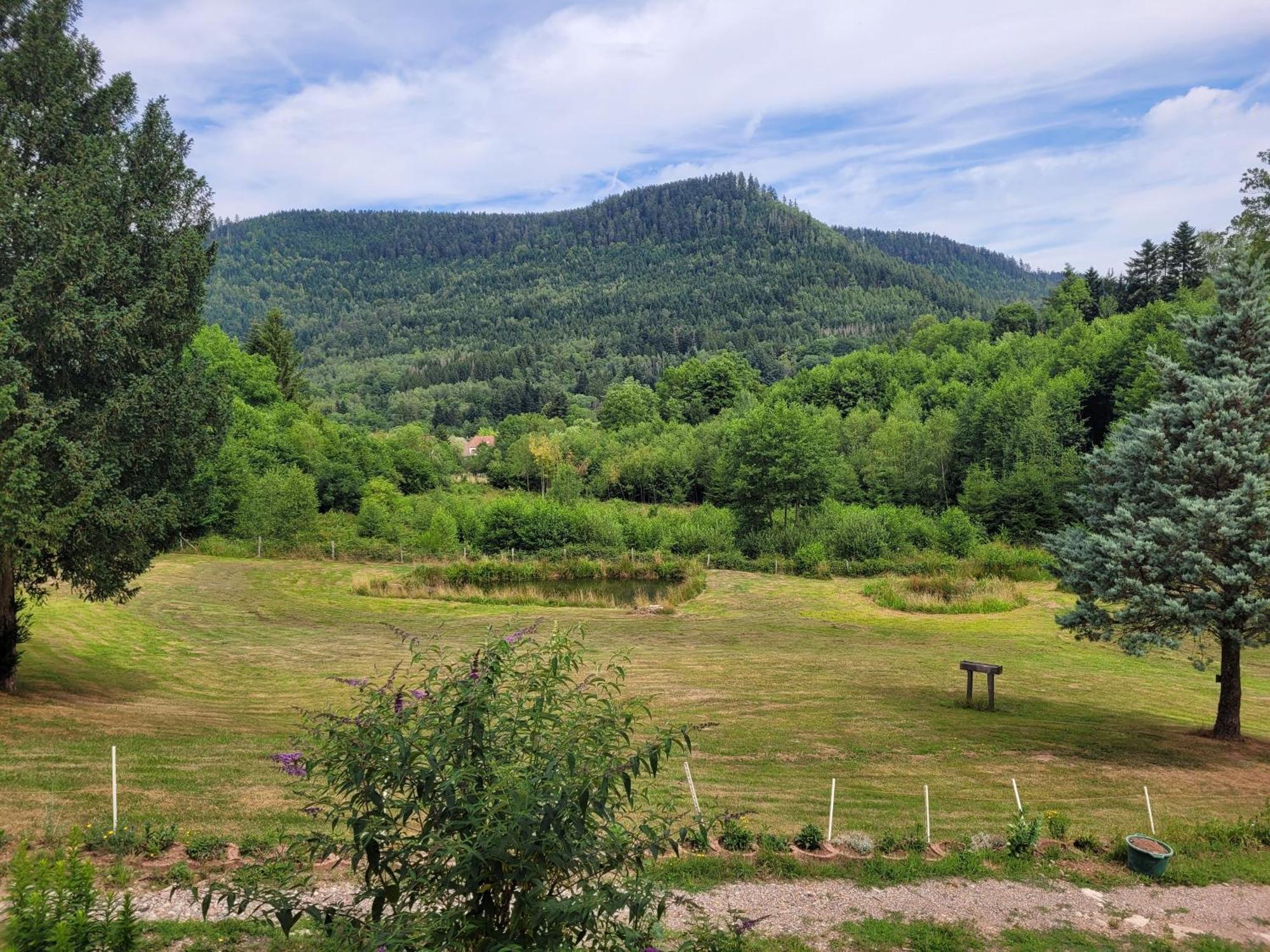 Gite Forestier Du Moulin Raon-sur-Plaine Luaran gambar