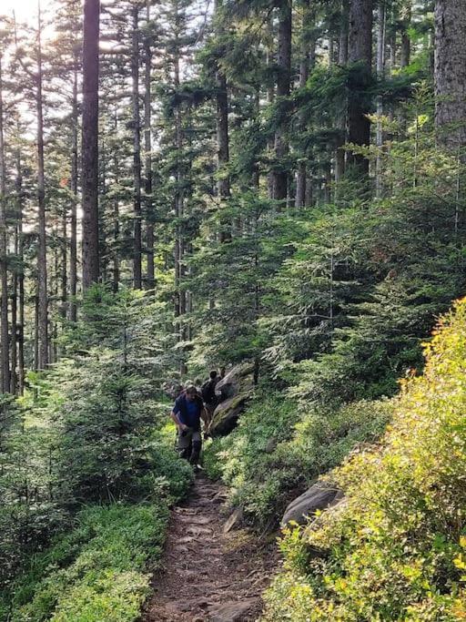 Gite Forestier Du Moulin Raon-sur-Plaine Luaran gambar