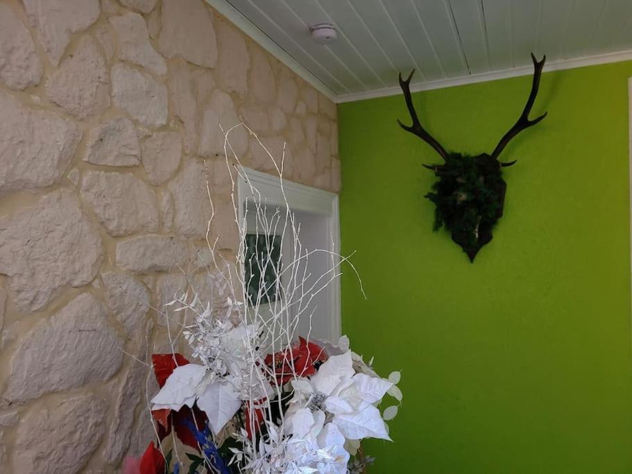 Gite Forestier Du Moulin Raon-sur-Plaine Luaran gambar