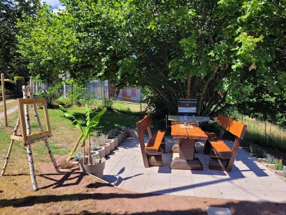 Gite Forestier Du Moulin Raon-sur-Plaine Luaran gambar