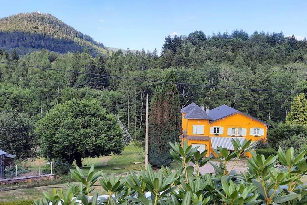 Gite Forestier Du Moulin Raon-sur-Plaine Luaran gambar