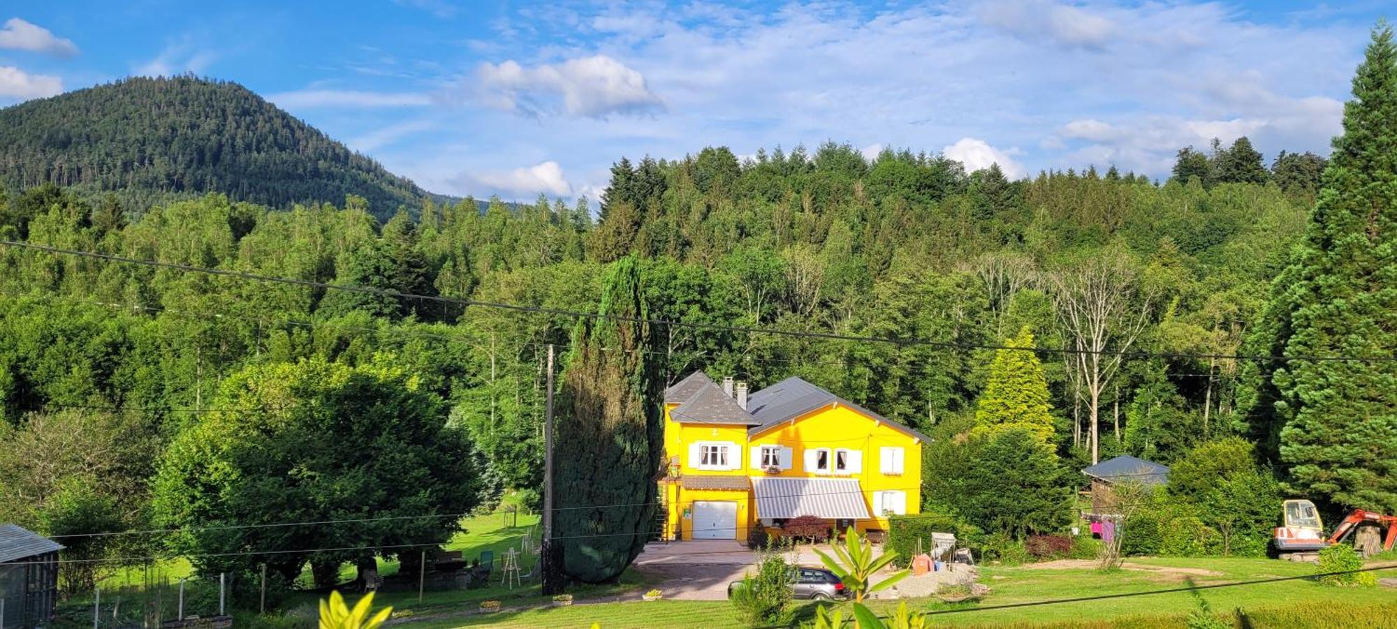 Gite Forestier Du Moulin Raon-sur-Plaine Luaran gambar