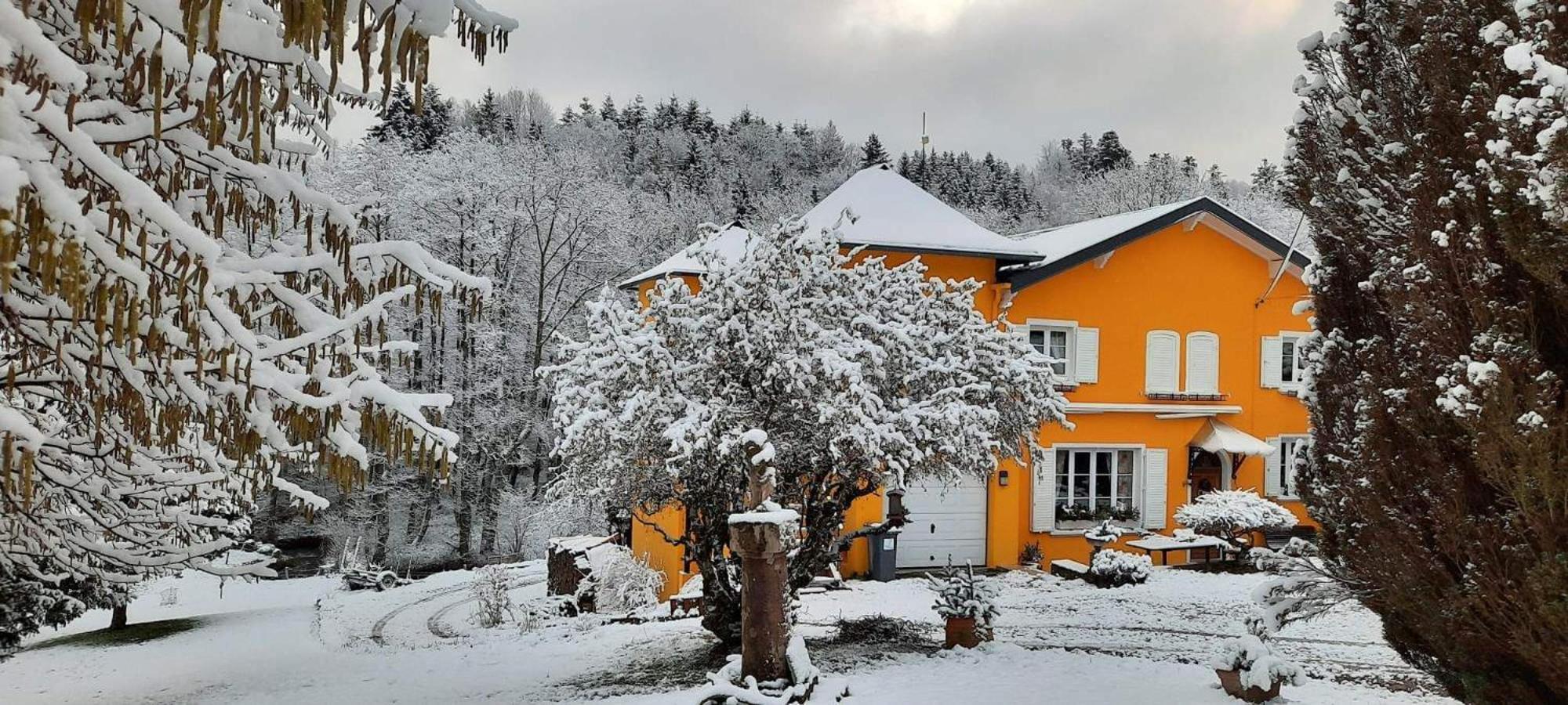Gite Forestier Du Moulin Raon-sur-Plaine Luaran gambar