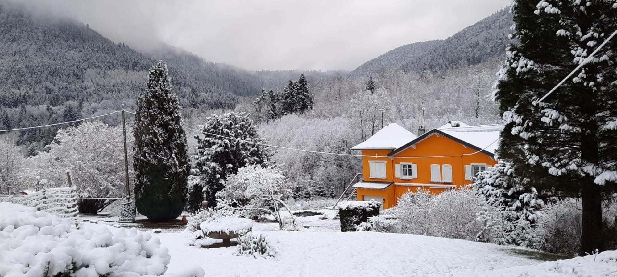 Gite Forestier Du Moulin Raon-sur-Plaine Luaran gambar